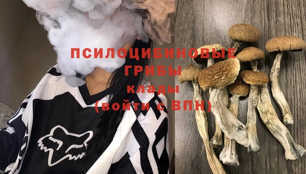 скорость Абаза
