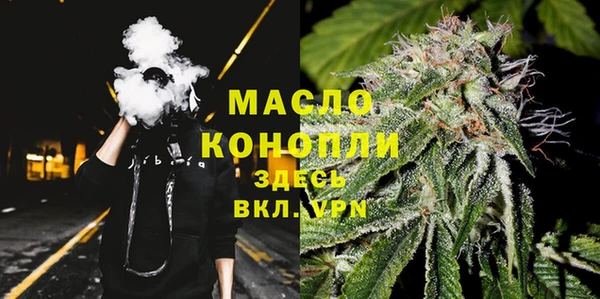 сатива Абинск