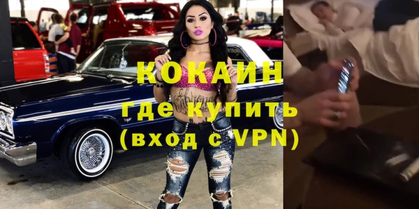 сатива Россошь