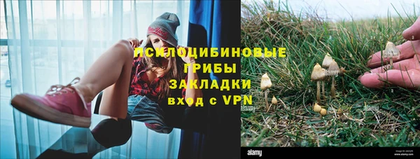 скорость Абаза