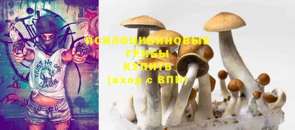 сатива Россошь