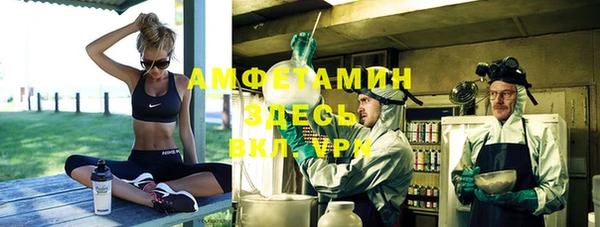 сатива Абинск