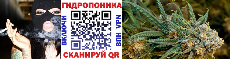 Шишки марихуана THC 21%  как найти наркотики  Адыгейск 